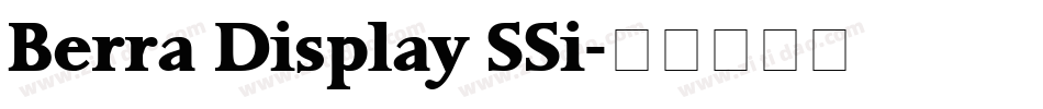 Berra Display SSi字体转换